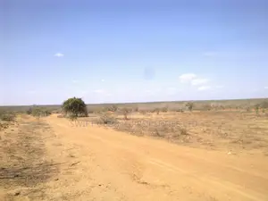 52,000 Acres Is Available for Sale in Taru Kwale County