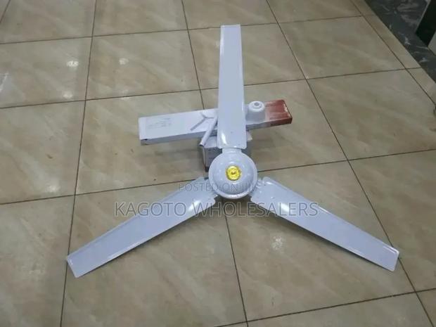 White Windsor 56 "Fan
