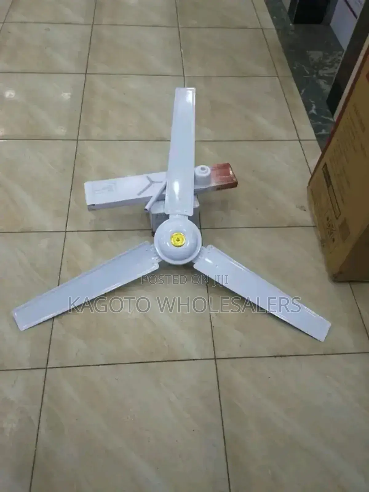White Windsor 56 "Fan