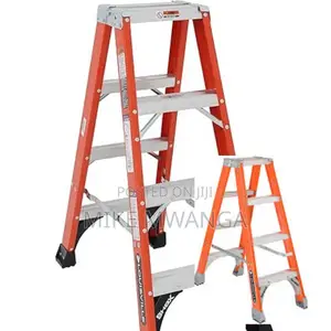Twin Steps Ladder 4+4