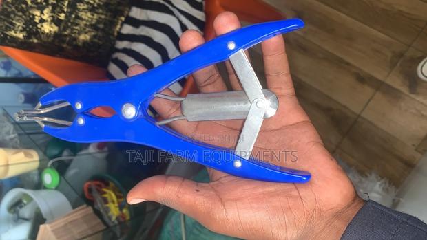 Elastrator (Castration)
