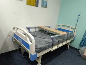Patient Bed Double Crank With Matress