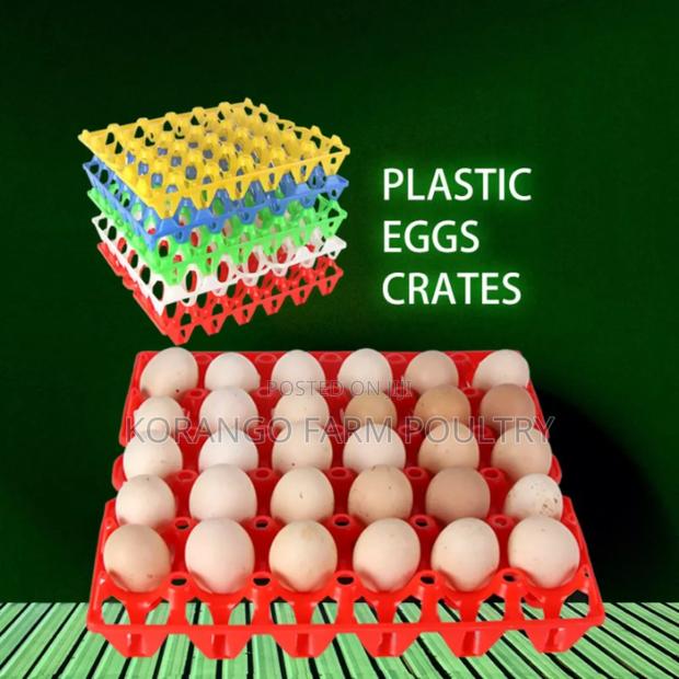 Eggs Tray - main view