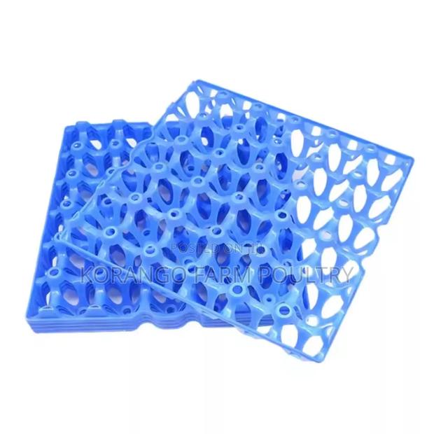 Eggs Tray - thumbnail 2