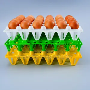 Plastic Tray