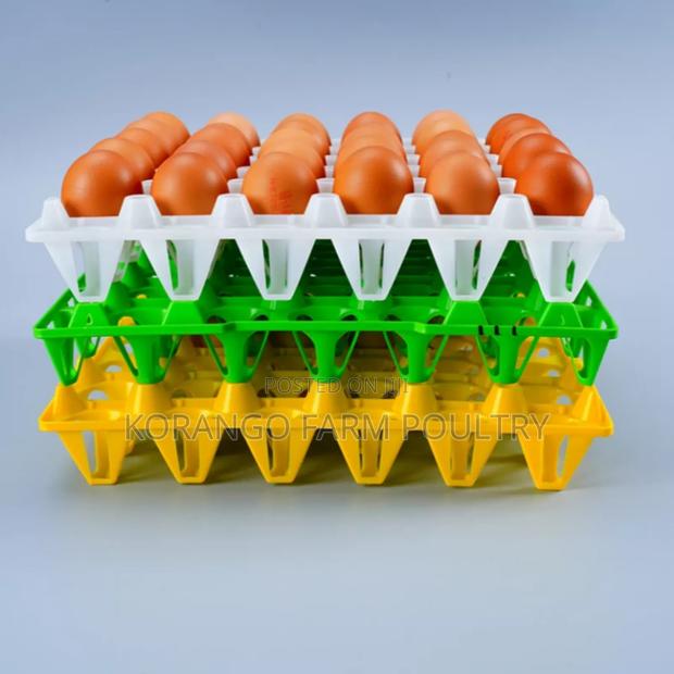 Plastic Tray