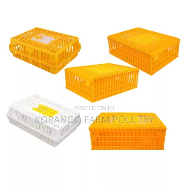 Chicken Chicken Crate