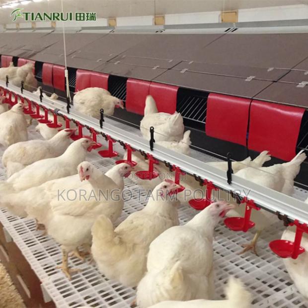 Nipples Drinkers - main view