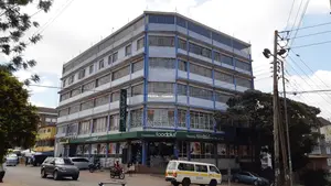 Commercial Spaces to Let in Ngara