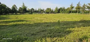 Several1 and 1⁄2 Acres Percels for Sale in Kapseret Eldoret