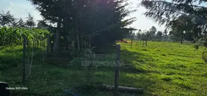Several1 and 1⁄2 Acres Percels for Sale in Kapseret Eldoret