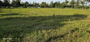 Several1 and 1⁄2 Acres Percels for Sale in Kapseret Eldoret