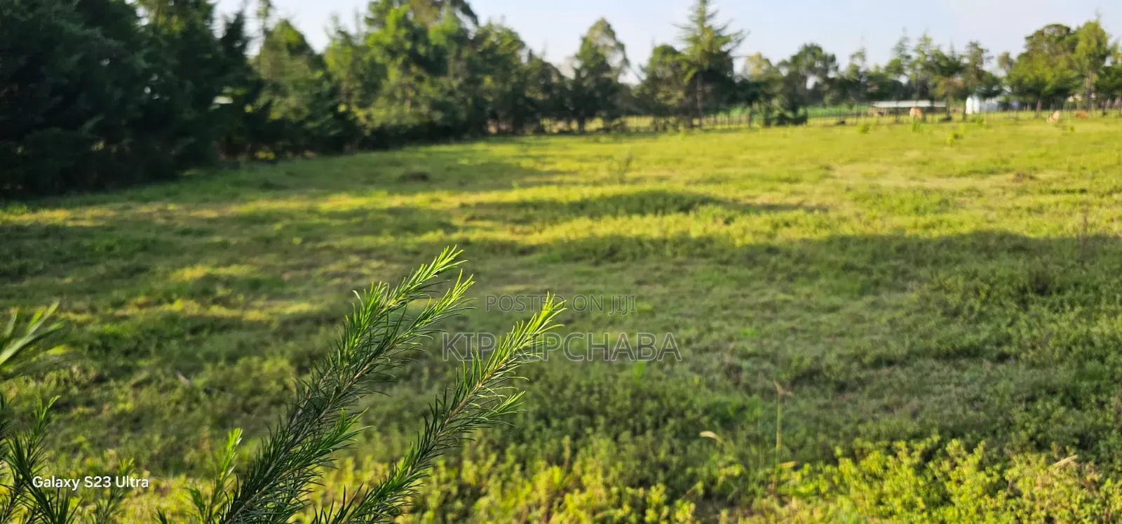 Several1 and 1⁄2 Acres Percels for Sale in Kapseret Eldoret