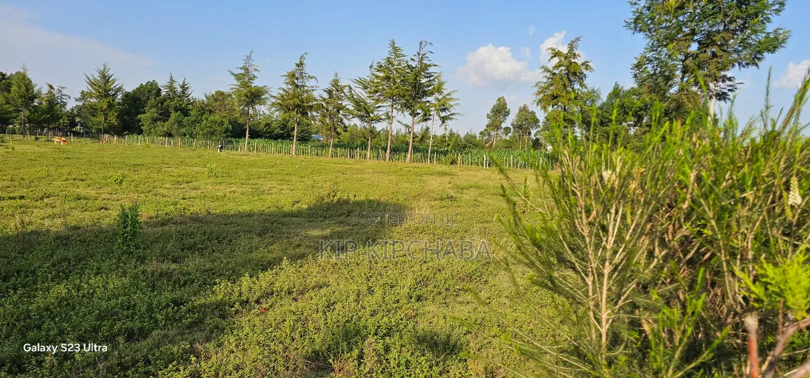 Several1 and 1⁄2 Acres Percels for Sale in Kapseret Eldoret
