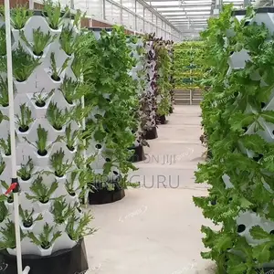 Hydroponic Garden Tower
