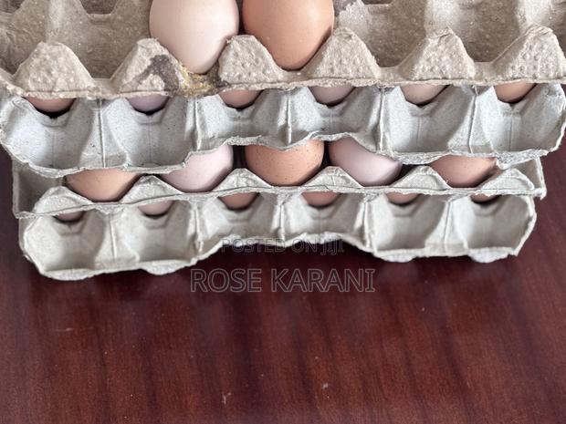 Fresh Improved Kienyenji Eggs for Sale and Are in Offer
