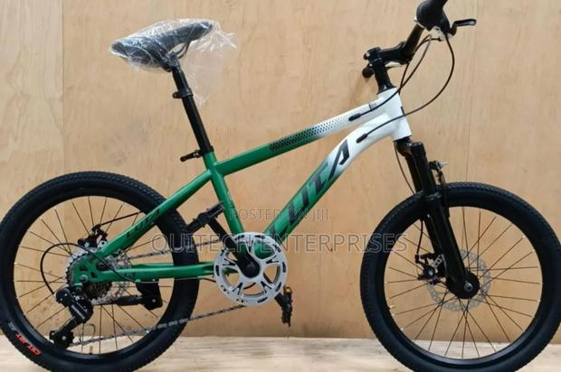 Size 20 Mountain Bike/Mountain Bicycle Luta - main view