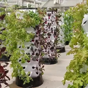 Three-Dimensional Hydroponics Saves Space