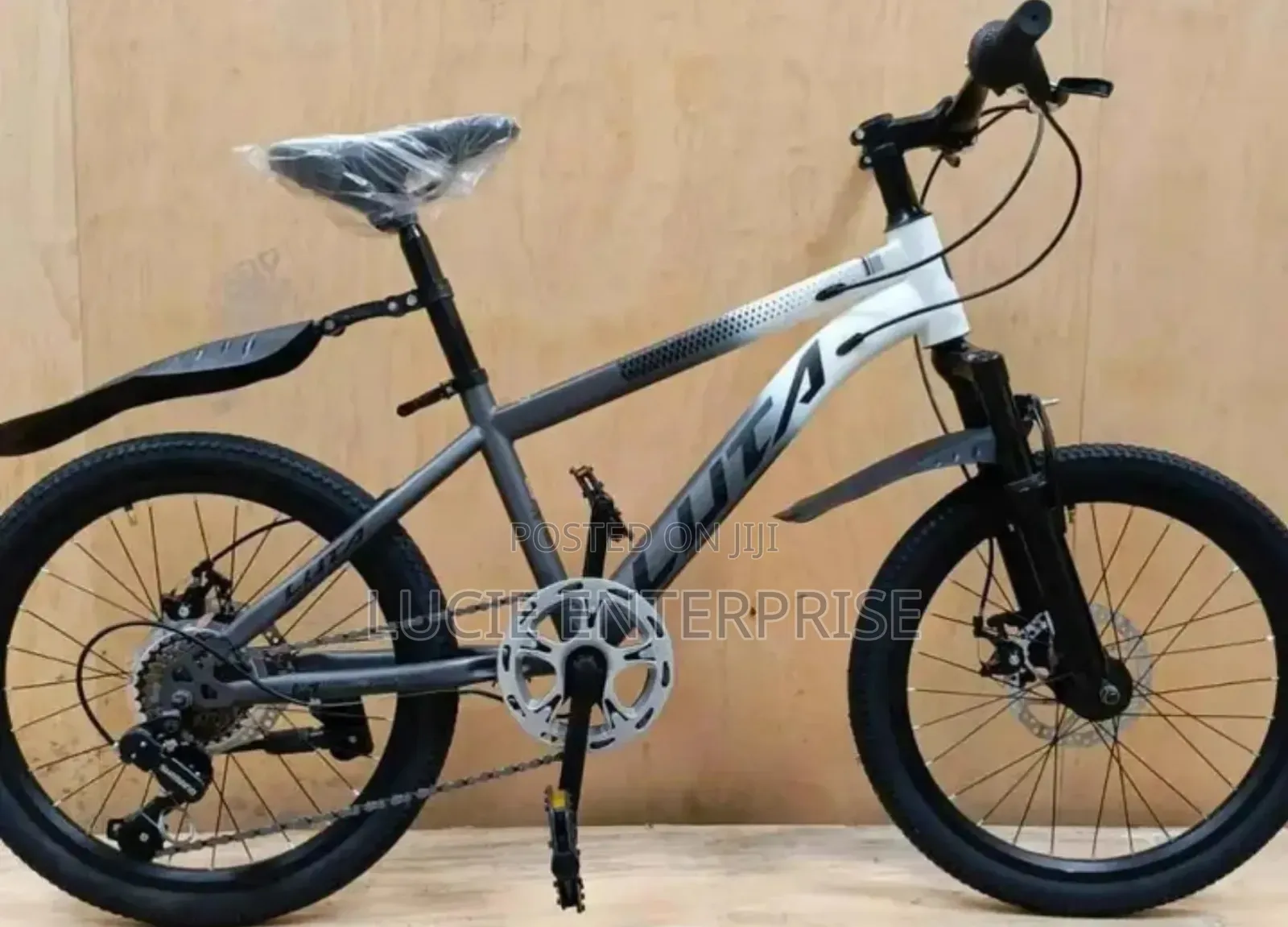 Luta Bike Size 24