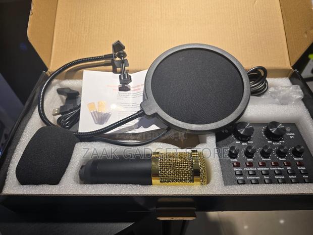 Legendary Vocal Condenser Microphone - main view