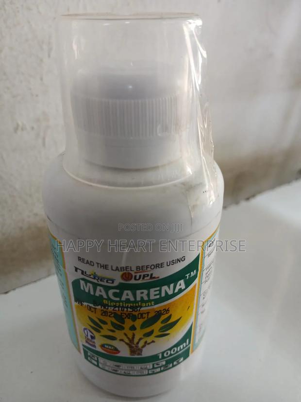 Macarena 100mls - main view