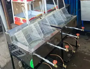 Stainless Steel Gas Fryer