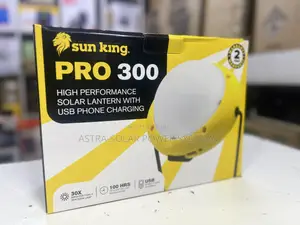 Sunking Pro 300