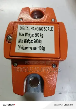 Digital Hanging Scale/300kgs