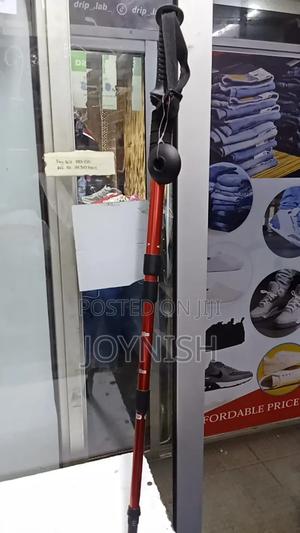 Hiking Pole - thumbnail 2