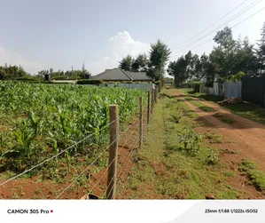 1/2 Acre Rolyton With Title.