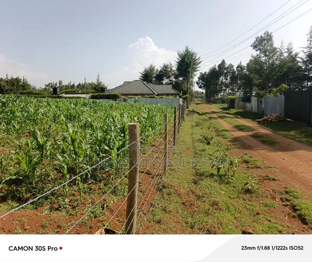 1/2 Acre Rolyton With Title.