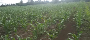 Lands and Property for Sale