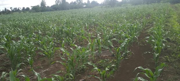 Lands and Property for Sale - main view