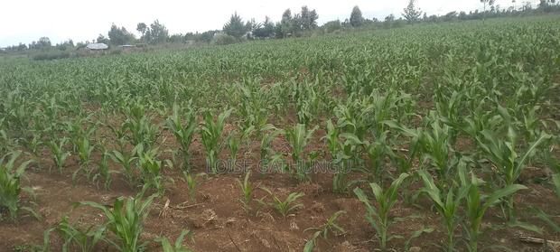 Lands and Property for Sale - thumbnail 3