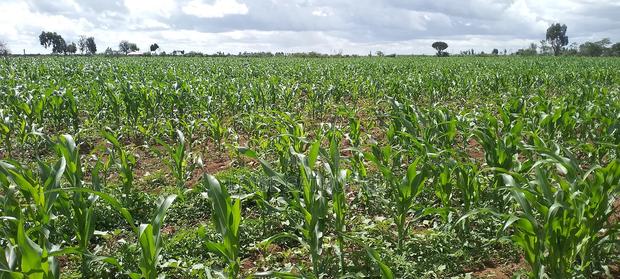 Lands and Property for Sale - thumbnail 5