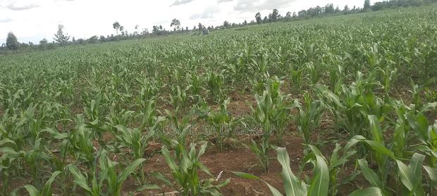 Lands and Property for Sale - thumbnail 6