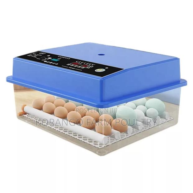 Solar Powered Eggs Incubator - main view