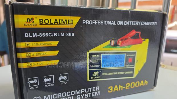 Bolaimei Blm-866 – 12v/24v Battery Maintainer - main view