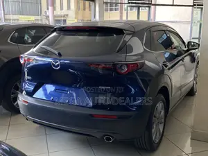 Mazda CX-30 2020 Blue