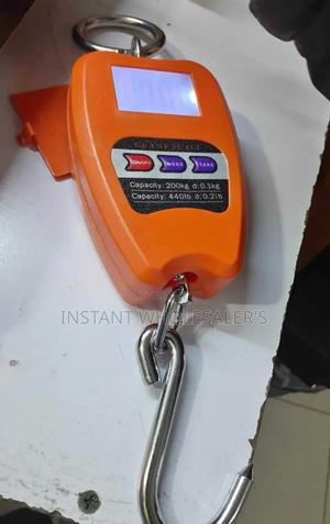 200 KGS Hanging Scales - thumbnail 2
