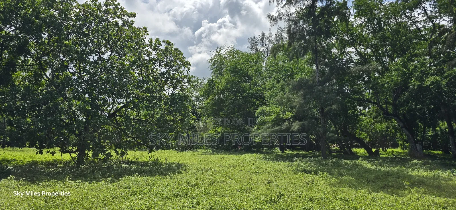 MBS-MLND Highway, 20-Acre Land for Sale