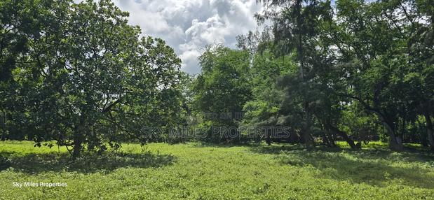 MBS-MLND Highway, 20-Acre Land for Sale - thumbnail 7