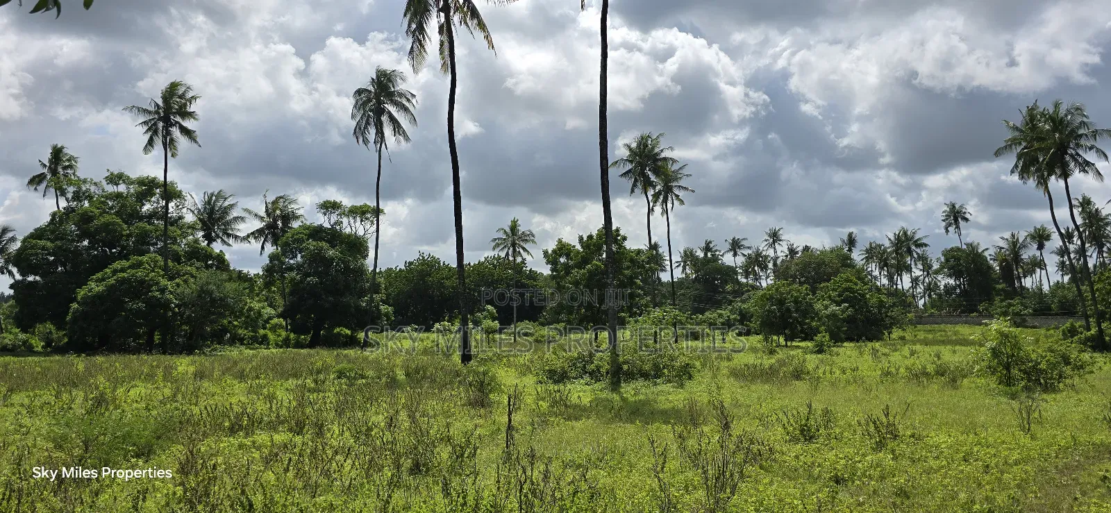 MBS-MLND Highway, 20-Acre Land for Sale