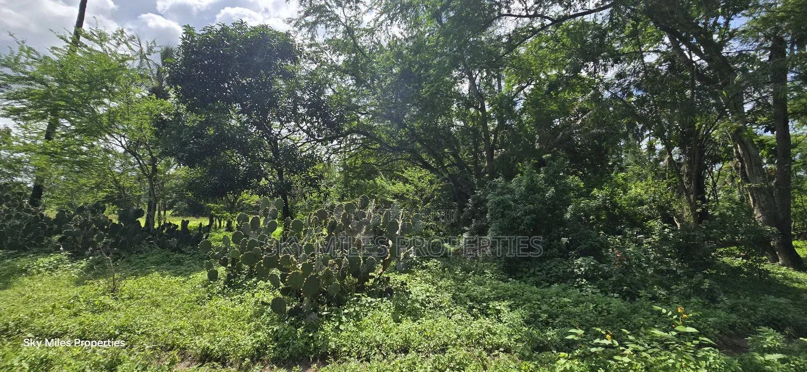 MBS-MLND Highway, 20-Acre Land for Sale