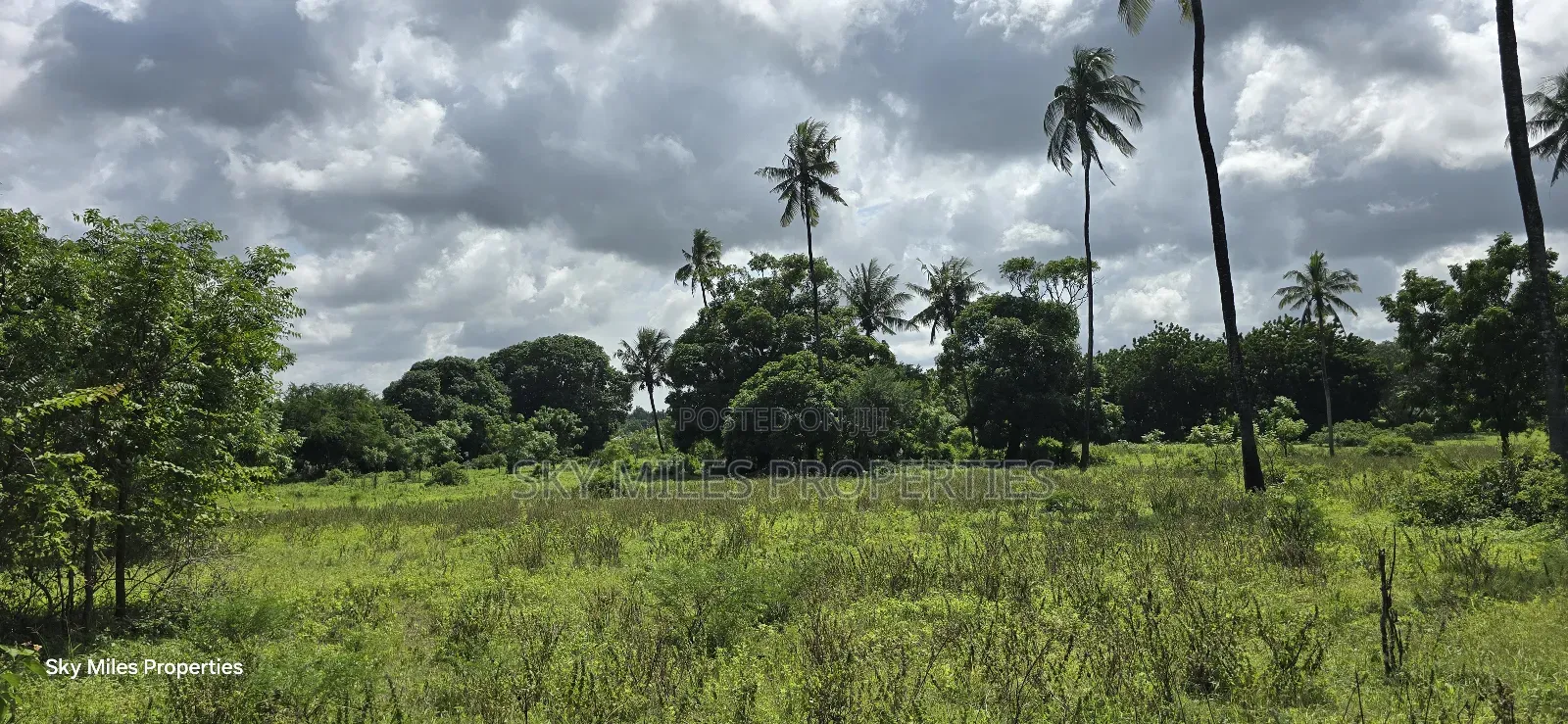 MBS-MLND Highway, 20-Acre Land for Sale