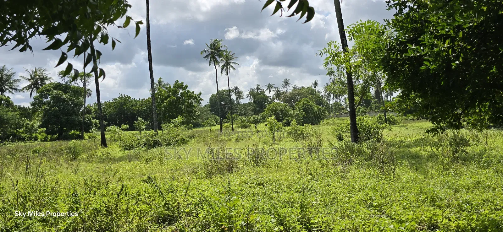 MBS-MLND Highway, 20-Acre Land for Sale
