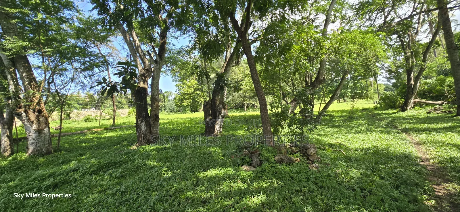 MBS-MLND Highway, 20-Acre Land for Sale