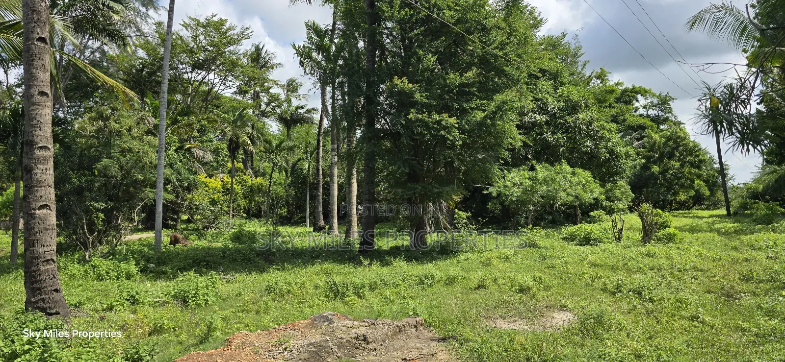 MBS-MLND Highway, 20-Acre Land for Sale