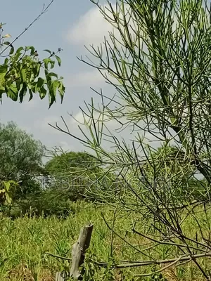 10 Acres-Mai Mahiu,Dryport-Suswa. Dry Port