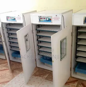 528 Automatic Ac Dc Eggs Incubator Machine/ 528 Egg Hatcher